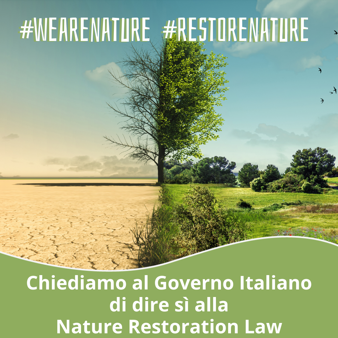 nature restoration law